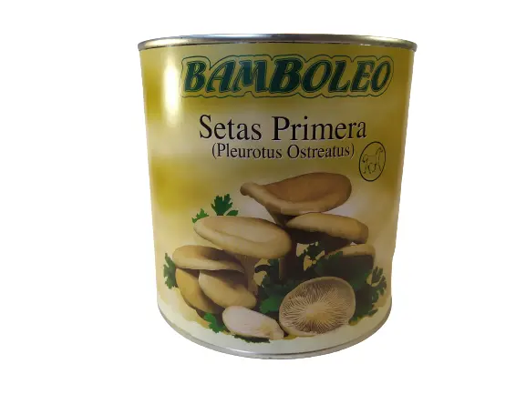 SETAS DE CARDO LATA JJJ 3 KG.